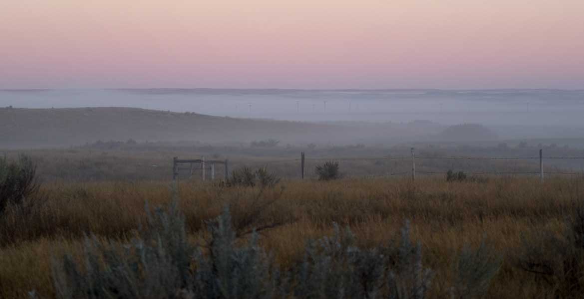 Grasslands NP